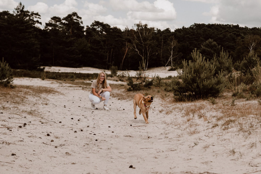 Freizeitpark Mit Hund Niederlande